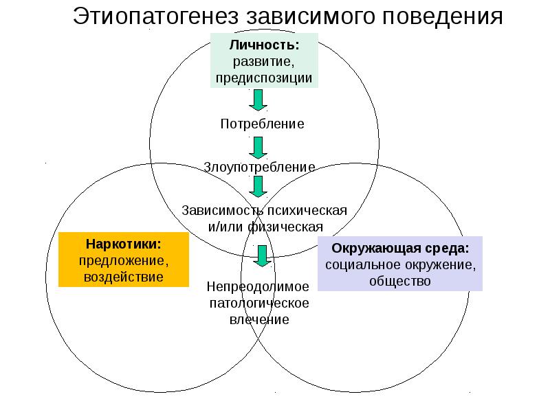 Поведения человека схема