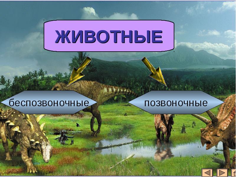 Р т н ы х. Кроссворд на тему позвоночные и беспозвоночные животные. Позвоночные и беспозвоночные животные кроссворд. Биология кроссворд животные беспозвоночные и позвоночные. Биология кроссворд животные беспозвоночные и позвоночные животные.