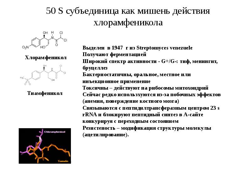 Пептидные антибиотики презентация