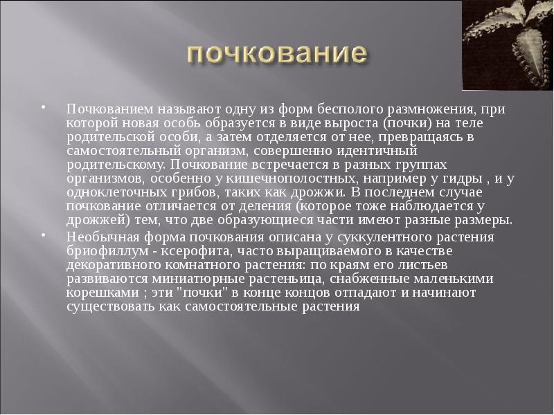 дочерние особи идентичны родительской. размножение и развитие организмов. бесполовоп размножение. средства размножения документов. бесполое и половое размножение кратко.