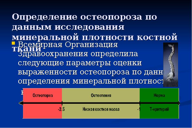 Плотность костей норма