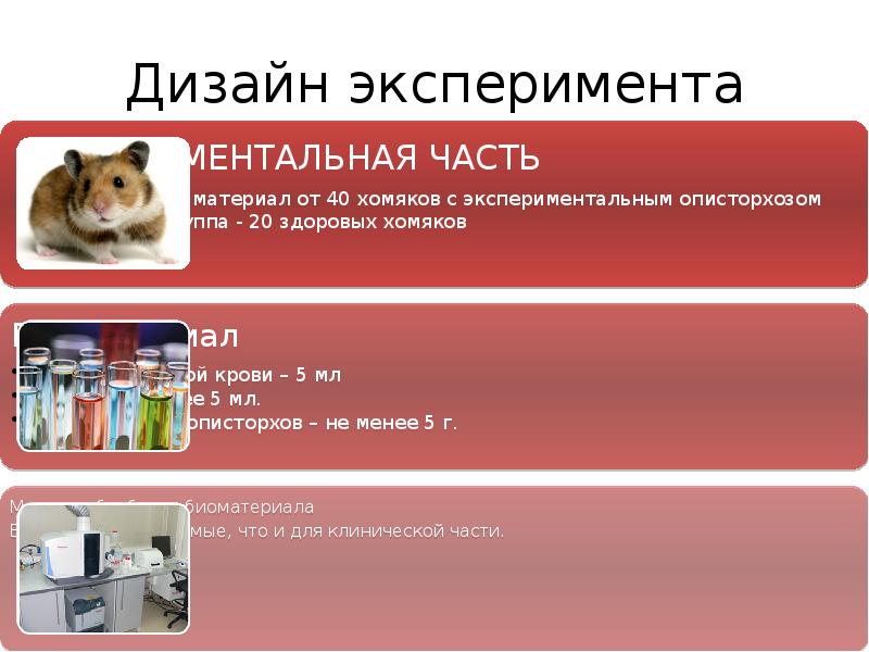 Виды экспериментальных дизайнов