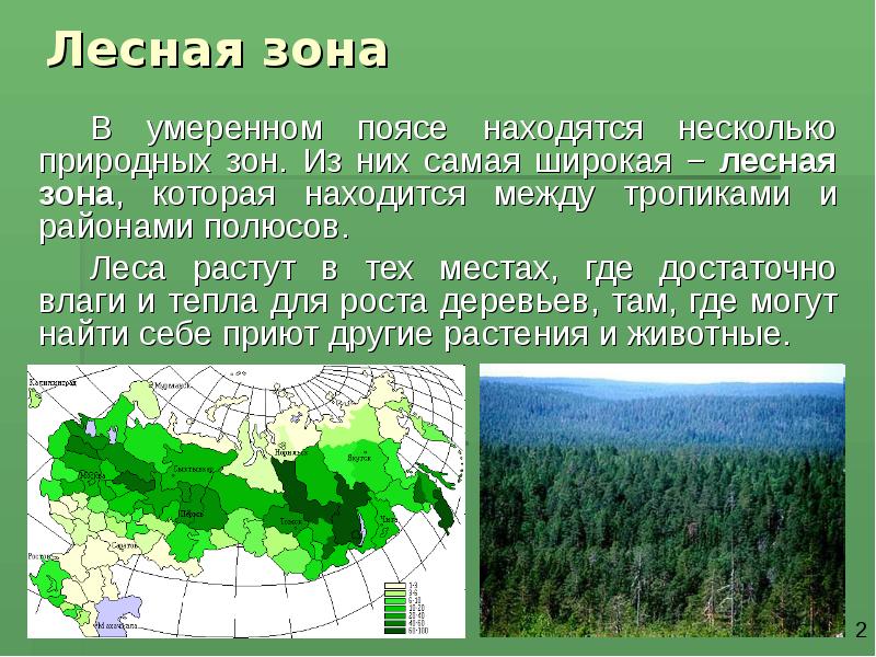 Растительный и животный мир умеренных поясов 5 класс презентация