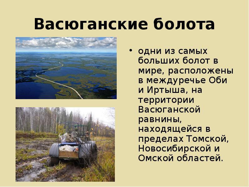 Транспорт болот. Васюганские болота, Западная Сибирь. Васюганские болота болота. Интересные факты о болотах. Васюганские болота располагаются на.