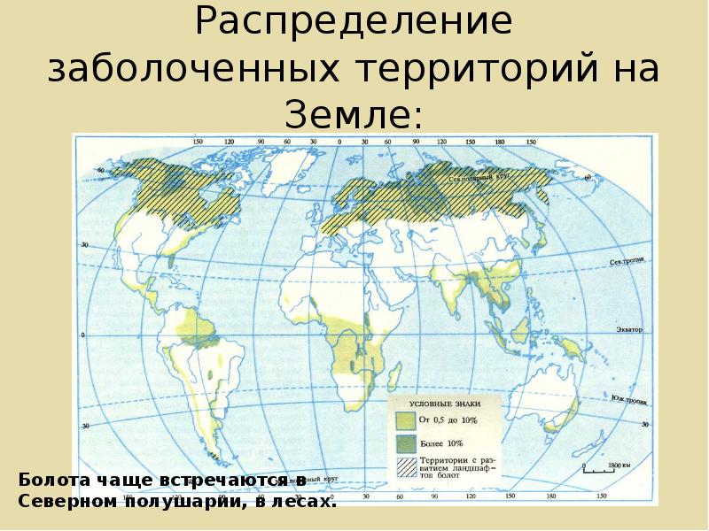 Территория болот в россии. Заболоченные территории на карте.
