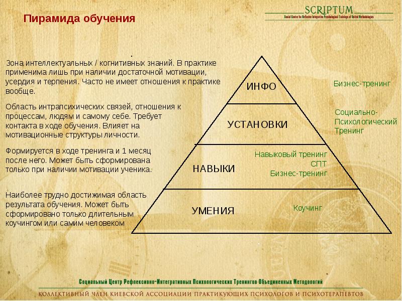 Картинка пирамида обучения