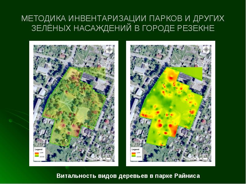 Содержание зеленых насаждений москве