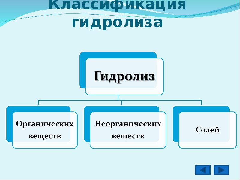 Презентация гидролиз органических веществ