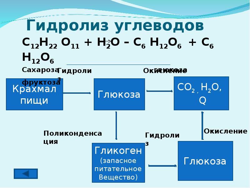 Схема гидролиза белка