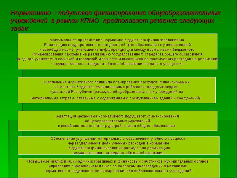 Какие модели финансирования образовательных организаций существуют