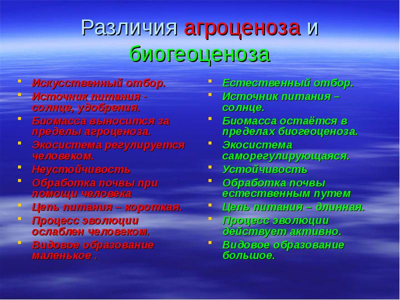 Чем биоценозы отличаются от агробиоценозов. Пищевые цепи биогеоценоза и агроценоза. Цепи питания биоценоза и агроценоза. Цепи питания биогеоценоза и агроценоза. Различия агроценоза и биогеоценоза.