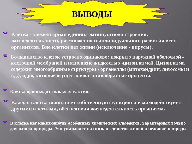 Строение клетки вывод. Строение и функции клетки вывод. Вывод по теме учение о клетке. Вывод по строению клетки.