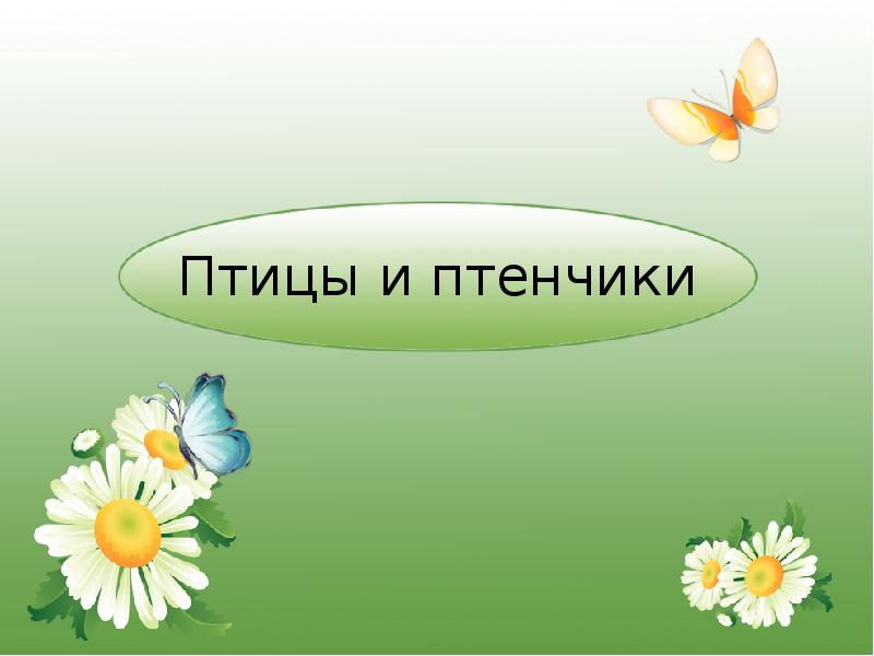 Птицы и птенчики