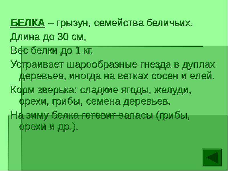 Белка весы