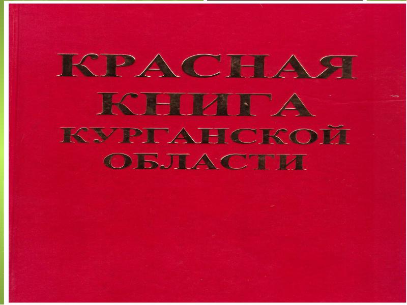 Животные красной книги курганской области фото и описание