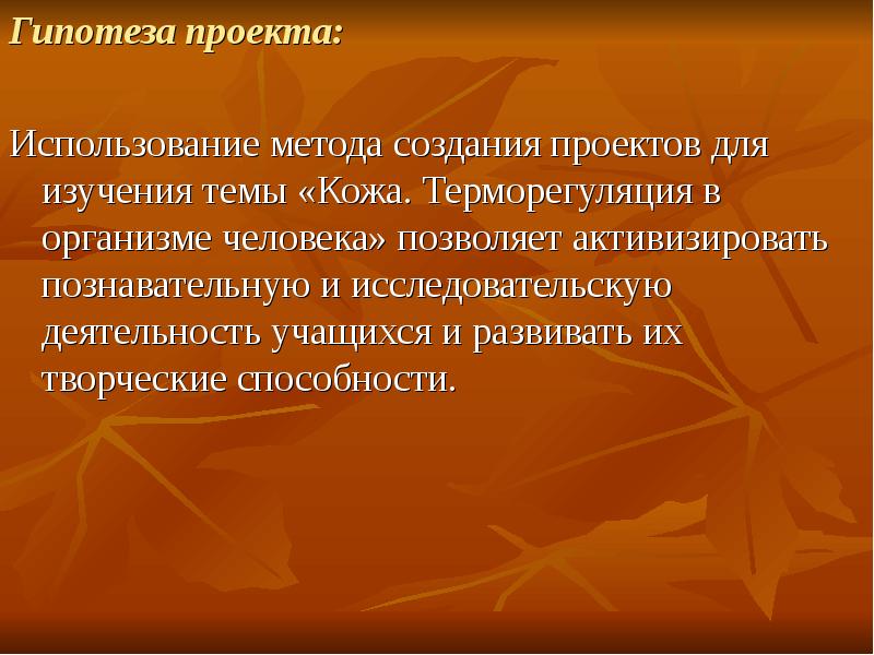 Гипотеза в творческом проекте