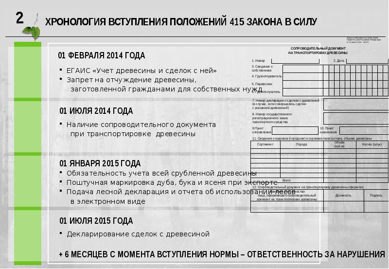 Образец заполнения декларация о сделках с древесиной образец