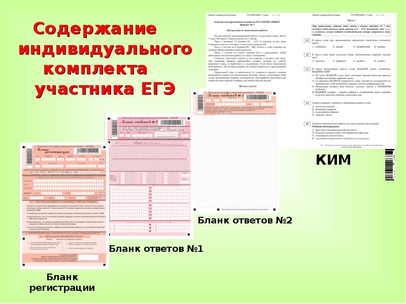 Участник егэ. Индивидуальный комплект участника ЕГЭ. Индивидуальный комплект участника ОГЭ. Содержание индивидуального комплекта на ЕГЭ. Контрольный лист участника ЕГЭ.