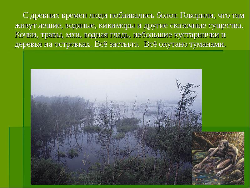 Природное сообщество болото 3 класс занков презентация