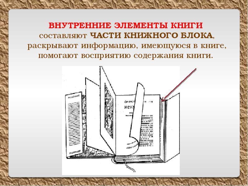 Книжка устроить. Как устроена книга части книги. Внешние и внутренние элементы книги. Внутренние элементы книги. Строение книги.элементы книги.