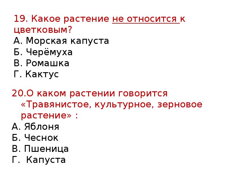 К цветковым относятся. Какое растение не относится к Цветковым. Что относится к Цветковым. Какое растение относится к Цветковым. К Цветковым растения относят морскую капусту?.