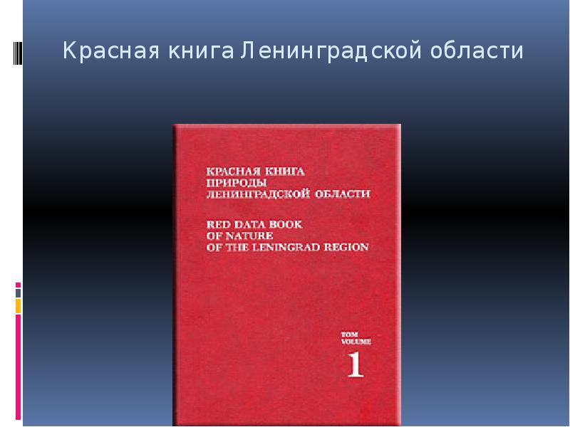 Красная книга ленинградской области с картинками