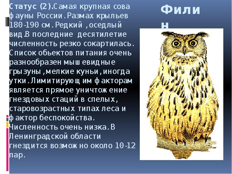 Животные Красной Книги Ленинградской Области Фото