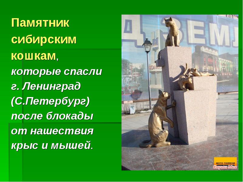 Памятники кошкам и собакам презентация