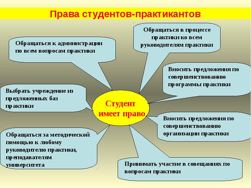 Права студента вуза схема