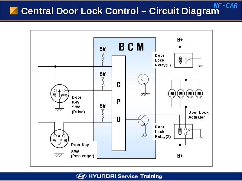 Central door lock