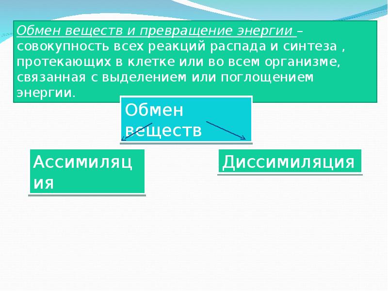 Презентация на тему обмен веществ и энергии