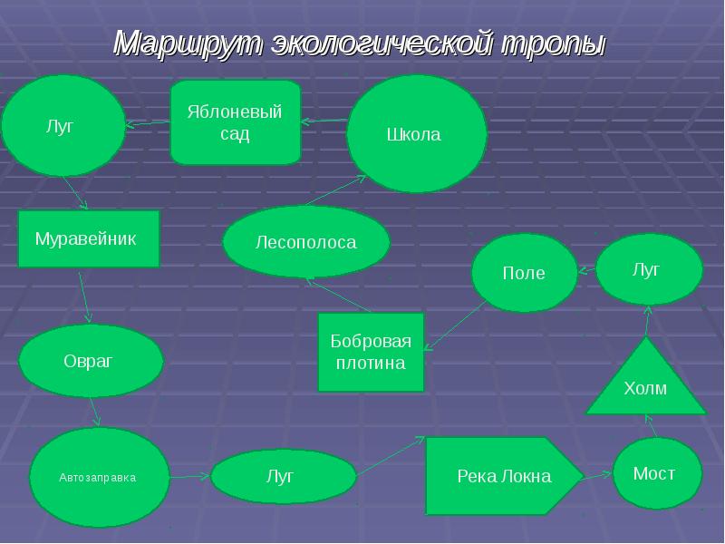 Презентация по теме путешествие по экологической тропе