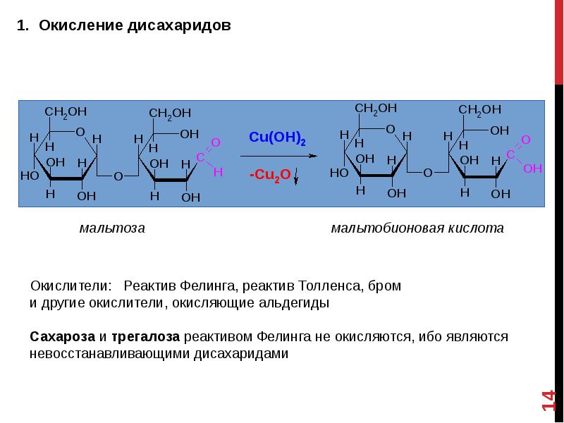 Схема синтеза трегалозы