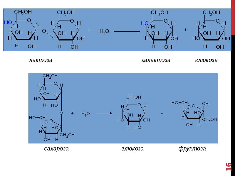 Образуется в результате реакции полимеризации сахароза. Инверсия сахарозы. Гидролиз олигосахаридов. Галактоза структурная формула. Гидролиз галактозы.