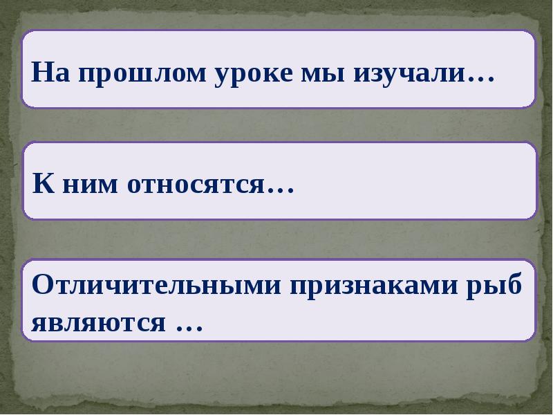 Его изучению к ним относятся