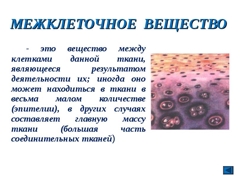 Ткань является веществом. Межклеточное вещество крови тканей. Межклеточное вещество это в биологии 5 класс. Межклеточное вещество состав и строение. Межклеточное вещество, ткань биология 5 класс.