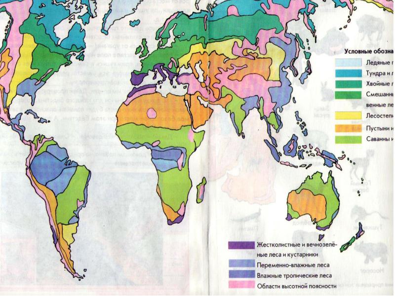 Раскрасьте разными цветами природные зоны на материке. Зона тропических лесов на карте. Карта переменно влажных лесов.