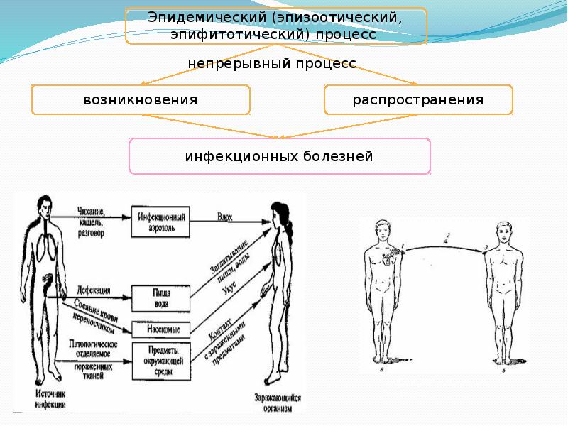 Источник заразного материала схема