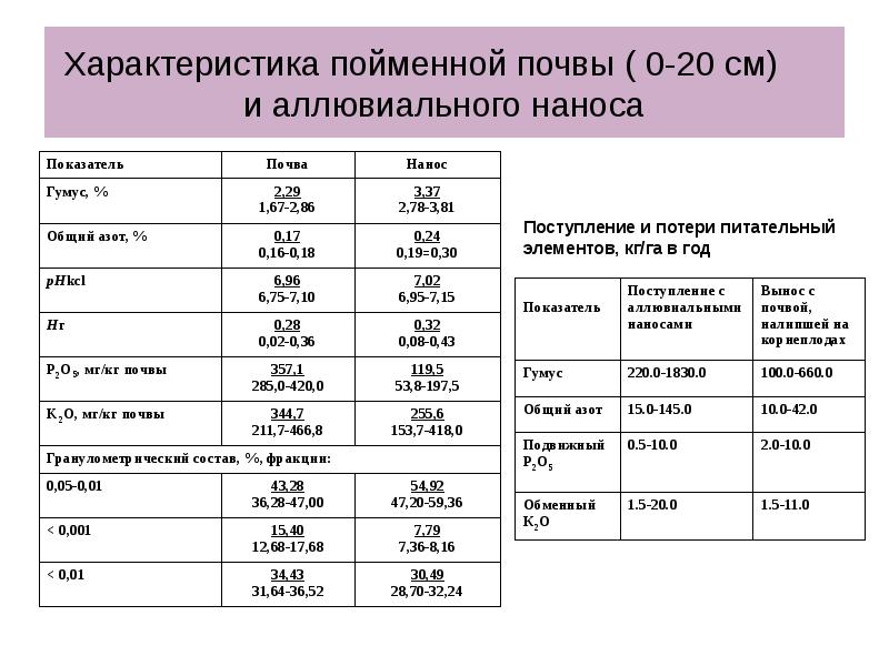 Презентация пойменные почвы