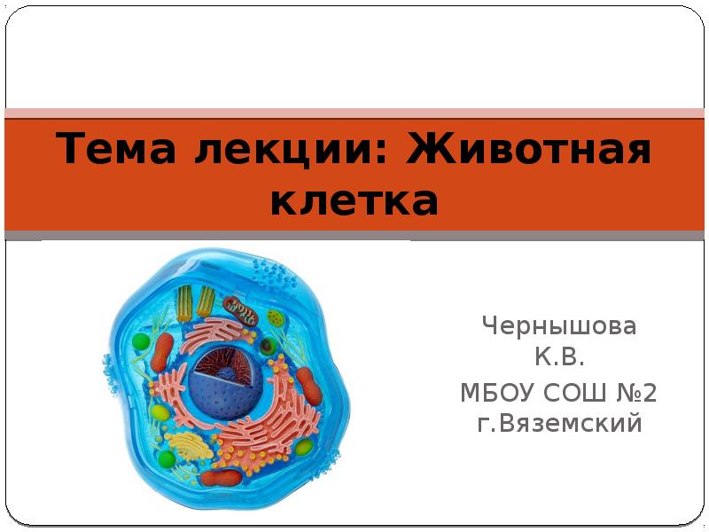 Клетка презентация. Загадка про клетку для животных. Имеются только у животных клеток.