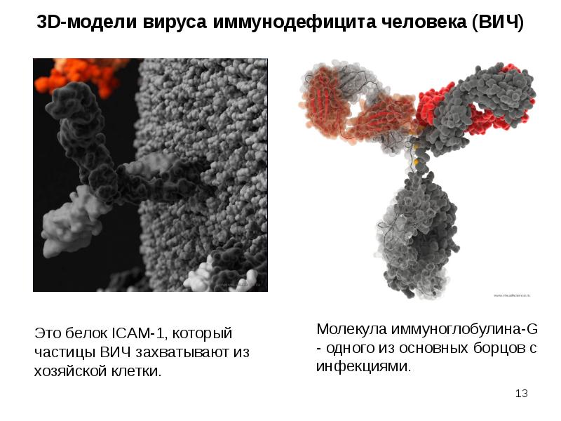 Тикток мод вирус. Иммуноглобулин для ВИЧ инфицированных.