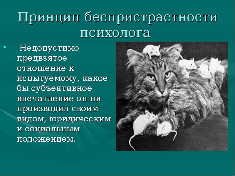 Что значит предвзятое отношение к человеку. Принцип беспристрастности. Принцип беспристрастности психолога. Что такое предвзято относиться к человеку. Предвзятое отношение это.