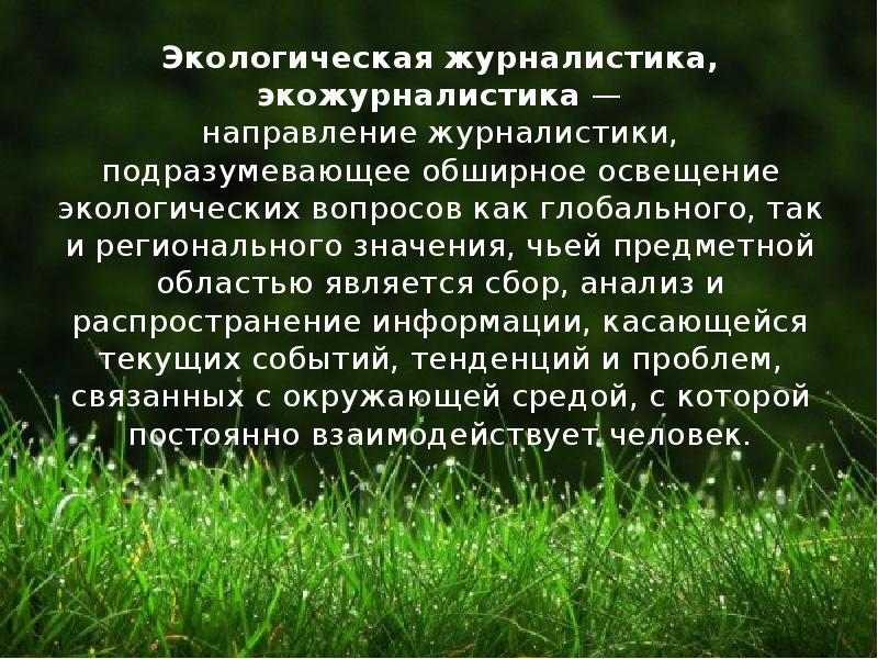 Вопросы по экологии. Экологическая журналистика. Экология в СМИ. Экожурналистика. Экологическая журналистика в России.