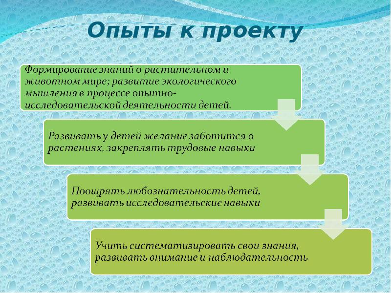 Исследовательско творческие проекты