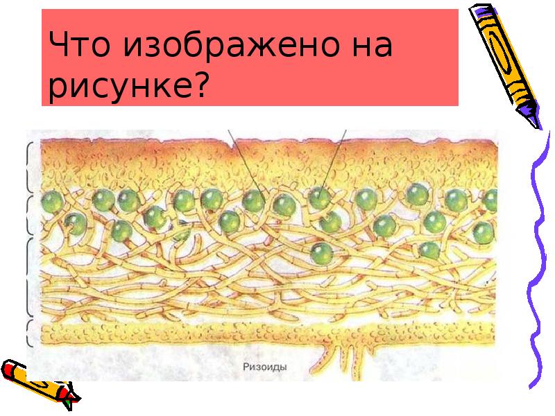 Что изображено на рисунке. Что. Изолбражен нарисунке. Что изображено на рисунке 4. Что изображено на иллюстрации.