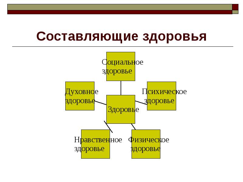 Составляющее здоровье человека