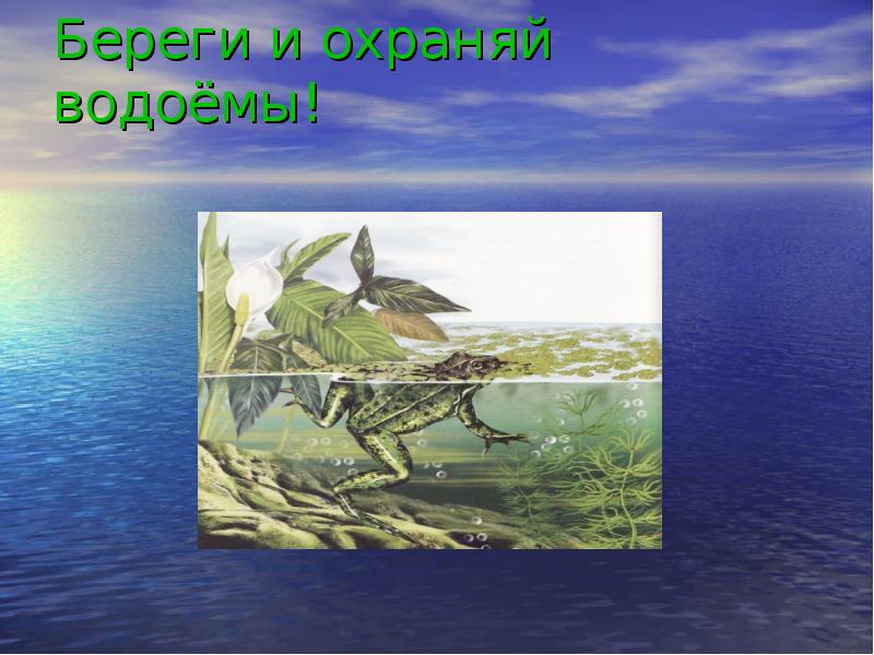 Пресный водоем обитатели пресных водоемов 2 класс 21 век презентация