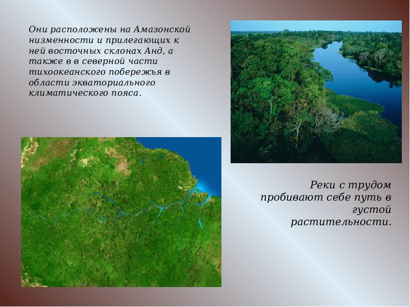 Географическое положение амазонской низменности по плану 6 класс география