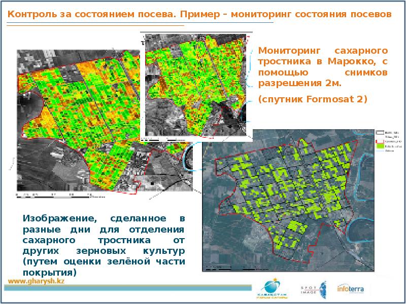 Интерактивная карта минлесхоз