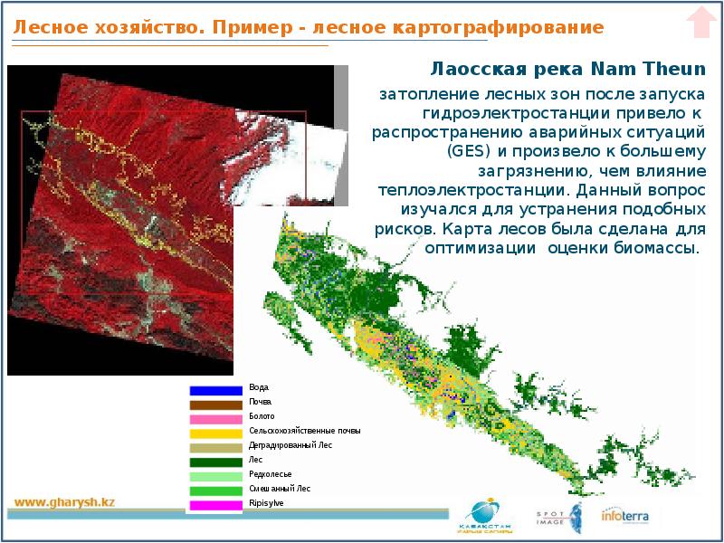 Лесное хозяйство презентация